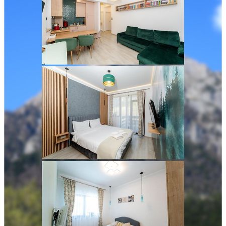 Appartement Cross Caraiman View 1 à Buşteni Extérieur photo